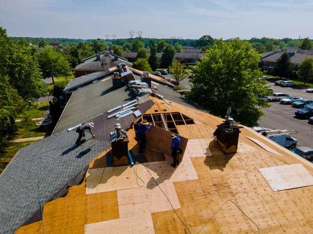 Best Metal Roofing Contractor  in East Bernard, TX