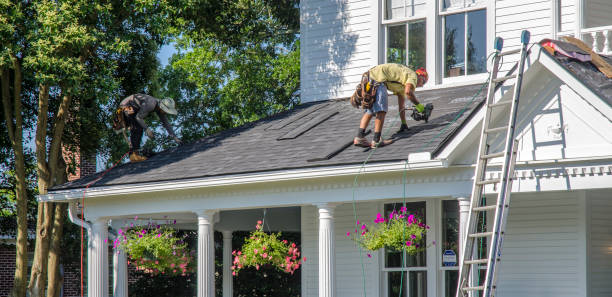 Best Roof Gutter Cleaning  in East Bernard, TX